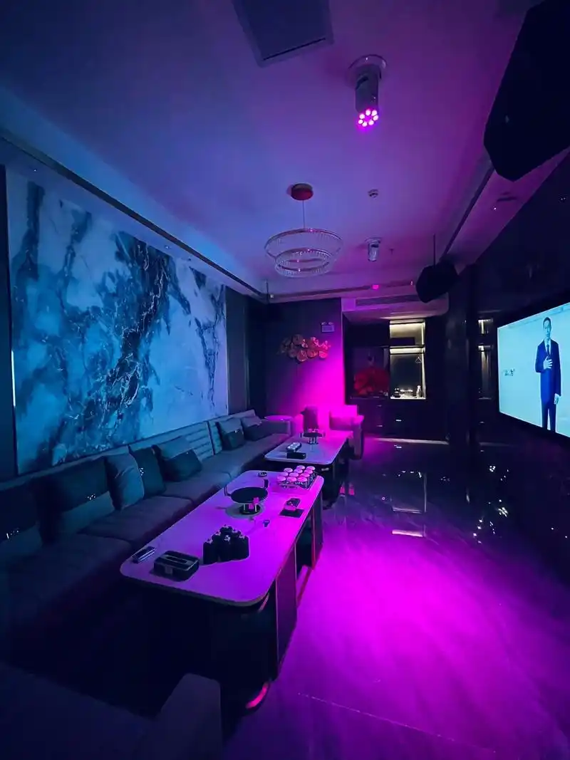 温州商务ktv及商务ktv啥意思解析-苍南县ktv预订